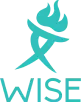 Wise Logo